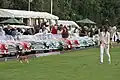 Display of Austin Healey classic British Sports Cars at Roehampton Trophy finals day
