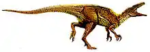 Australovenator wintonensis
