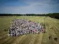 Gathering