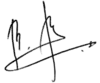 Volodymyr Zelenskyy's signature