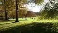 Autumn scene