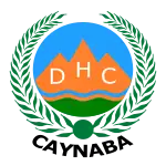 Official logo of Aynaba