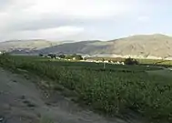 Apple orchards in Azwell, Washington, surrounding a community of pickers' cabins
