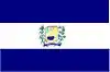 Flag of Caldas Brandão