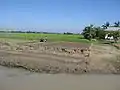 A farmer busy on the banks of the Kangsha River