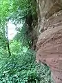 Weathered sandstone cliff on the north side of the Dingle.