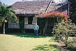 bahay kubo