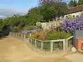 Bakehouse Border