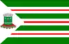 Flag of Nova Andradina