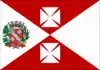 Flag of Aguaí