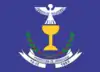 Flag of Jaraguari