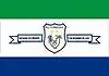 Flag of Rio Formoso