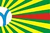 Flag of Barra do Garças