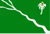 Flag of Belo Jardim