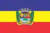 Flag of Bicas