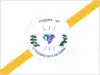 Flag of Itiquira