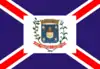 Flag of Minador do Negrão