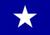 Flag of Nova Xavantina