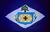 Flag of Dom Pedro
