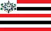 Flag of Urbano Santos