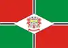 Flag of Papanduva