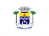 Flag of Ribeirão das Neves
