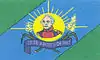 Flag of José Antonio Páez Municipality