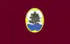Flag of Arenys de Mar