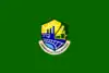 Flag of Carmen de la Legua Reynoso District