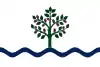 Flag of Móra d'Ebre