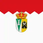 Flag of Miranda de Azán