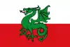 Flag of Navès