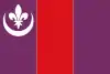 Flag of Rubió