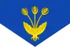 Flag of Vall de Cardós