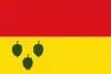 Flag of La Quar