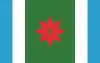 Flag of Navarro
