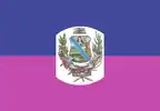 Flag of Santa Teresa del Tuy
