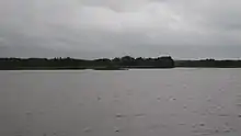 Body of water with a forest in the background.