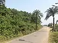 Baranti village road