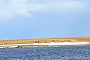 Barents Bay (Willem Barents' gravesite; .mw-parser-output .geo-default,.mw-parser-output .geo-dms,.mw-parser-output .geo-dec{display:inline}.mw-parser-output .geo-nondefault,.mw-parser-output .geo-multi-punct{display:none}.mw-parser-output .longitude,.mw-parser-output .latitude{white-space:nowrap}76°27′N 68°42′E﻿ / ﻿76.450°N 68.700°E﻿ / 76.450; 68.700)