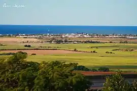 View from the Hummock