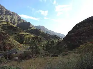 Mogan ravine