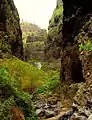 Trail - third part