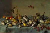 Still life with shells