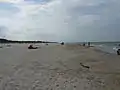 Beach, looking west