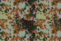 Belgian Flecktarn