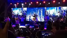 A vivid and energetic night concert performance