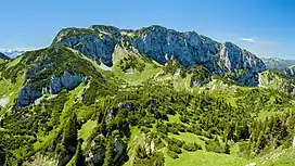 The north face of the Benediktenwand (1,800&nbsp;m/5,900&nbsp;ft)