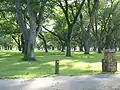 Pecan Grove
