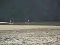 Fun in the lagoon
